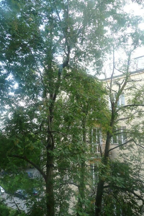 Sunny Wisla River Apartment ワルシャワ エクステリア 写真